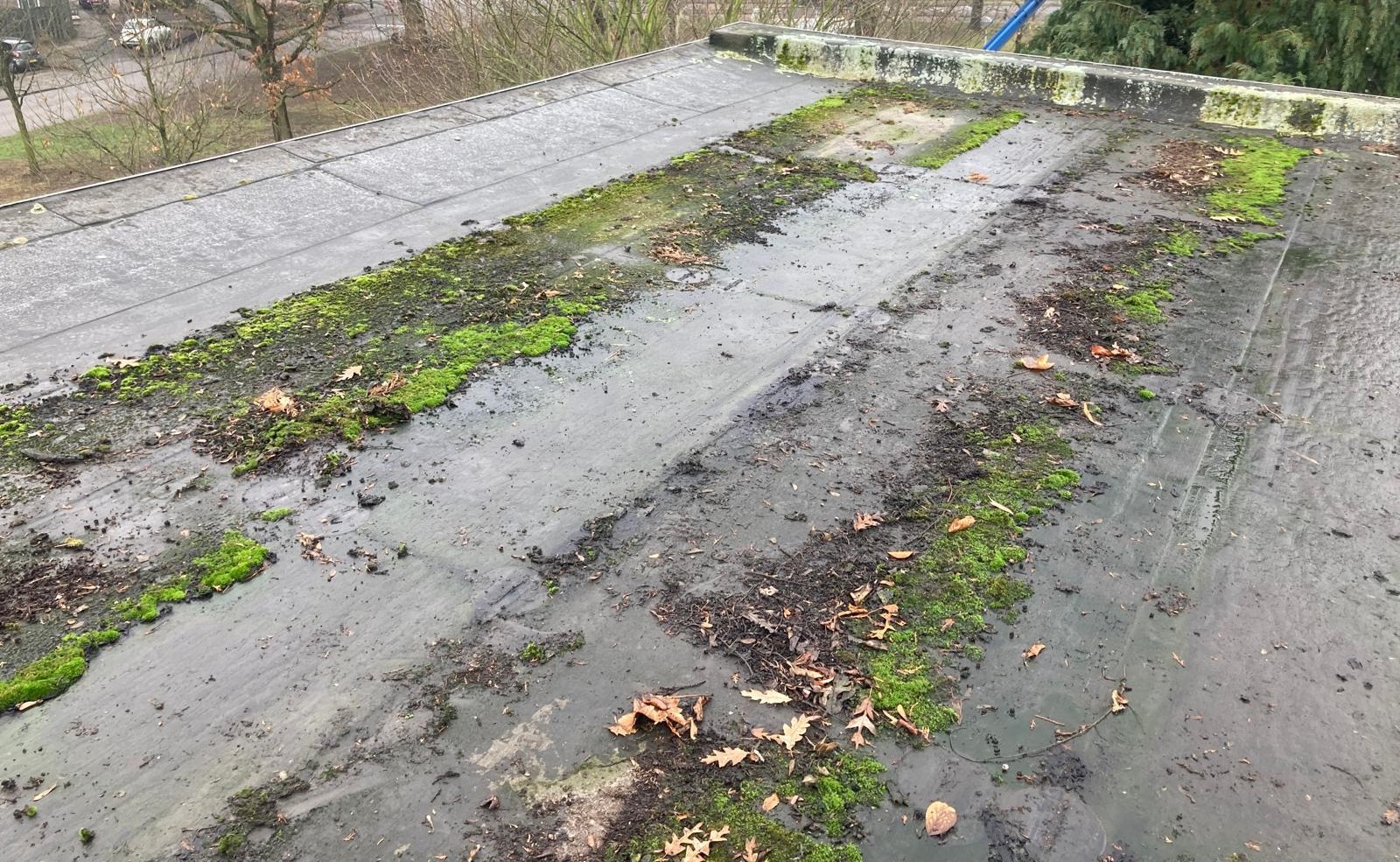 Vooraf: mosvorming op dak